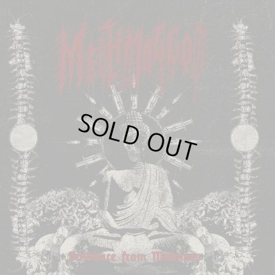 画像1: Methmaggot - Guidance from Madness / CD