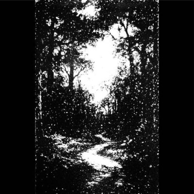 画像1: Kaferpalast / Autumn Mountains - Split / DIY Tape