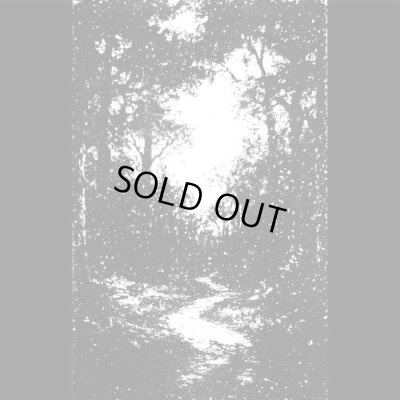 画像1: Kaferpalast / Autumn Mountains - Split / DIY Tape