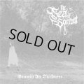 The Sea Of SorroW - Beauty in Darkness / ProCD-R