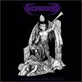 Incinerated - Stellar Abomination / CD