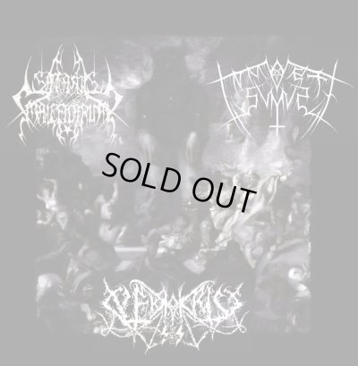 画像1: Satanis Maleficarum / In Morte Sumus / Nekrokrist SS - Covenant of the Unholy Trinity / CD
