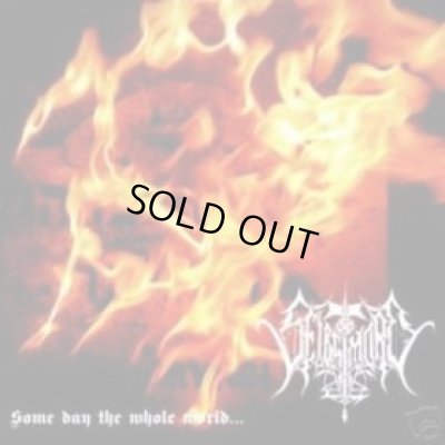 画像1: Selbstmord - Some Day the Whole World... / CD (Original)