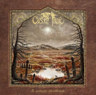 画像1: [MAA 059] Olshanoe - Into the Wild / CD