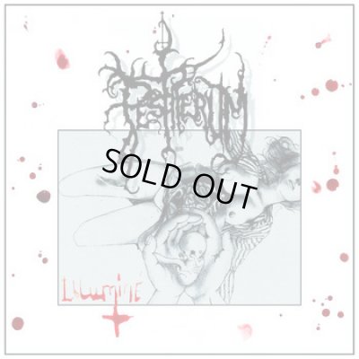 画像1: Pestiferum - Illumine / CD