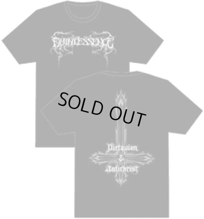 画像1: Quintessence / T-Shirts