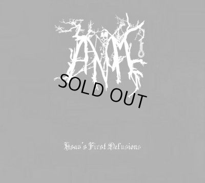 画像1: Aanomm - Hsav's First Delusions / DigiCD
