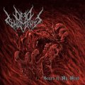 Dead Monuments - Scars of My Mind / CD