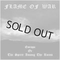 Flame of War - Europa; Or, the Spirit Among the Ruins / CD