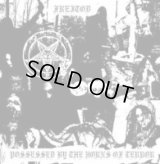 Freitod - Possessed By The Horns Of Terror / CD