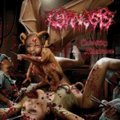 Cyanosis - Conceiving Abhorrence / CD