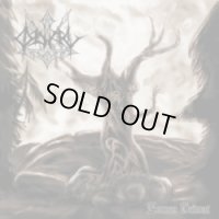 Odal - Zornes Heimat / CD