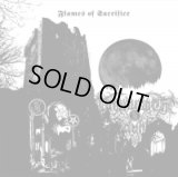 Drowning the Light - Flames of Sacrifice / 10LP
