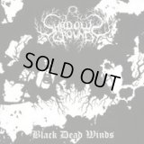Shadows Ground - Black Dead Winds / CD