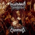 Thornspawn / Enshadowed - 6 Black Candles, 6 Rotting Hearts, 6 Sacrifices for Satan / CD