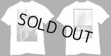 Lifelover - Pulver / T-Shirt