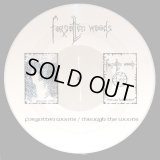 Forgotten Woods - Forgotten Woods / Through The Woods / PicLP
