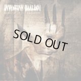 Intestine Baalism - Banquet in the Darkness / DigiCD