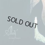 Alcest - Autre Temps / EP