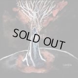 Lantlos - Agape / 3CD Box