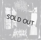 Woddrea Mylenstede / Black Cilice - Split / EP