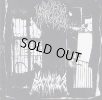 Woddrea Mylenstede / Black Cilice - Split / EP