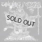 Gotholocaust / Demonic Mist - Unholy forces / CD