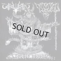 Gotholocaust / Demonic Mist - Unholy forces / CD