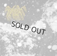 Deathlike Silence - Deathlike Silence / LP