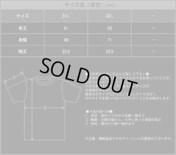 画像3: Manzer - Japan Tour / T-Shirts