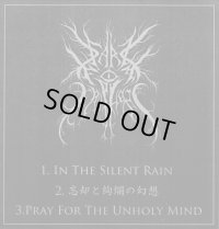 Dark Fog Eruption - In the Silent Rain Demo / DIY CD-R