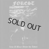 Forest - Like a Blaze Above the Ashes / CD