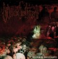 Bloodoline - Storm & Brilliance / CD