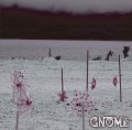 [ZDR 012] Gnome - Silent Scream (2026) / CD 