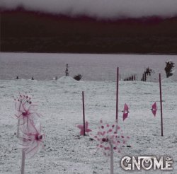 [ZDR 012] Gnome - Silent Scream (2026) / CD