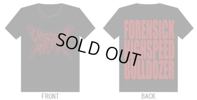 画像1: Viscera Infest - Logo / T-Shirts