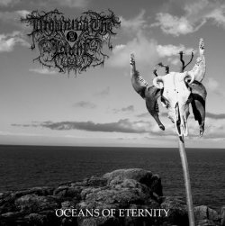 画像1: Drowning the Light - Oceans of Eternity / CD (Original)
