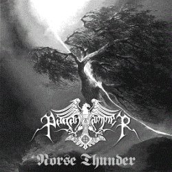画像1: Pagan Hammer - Norse Thunder / CD