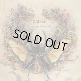 Caina - Temporary Antennae / DigiCD