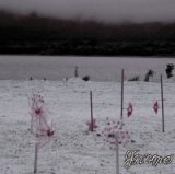 [ZDR 012] Gnome - Silent Scream / CD