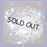 In the Woods... - Three Times Seven on a Pilgrimage / DigiSleeveCD