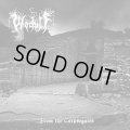Wodulf - ...from the Corpsegates / CD