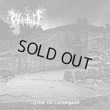 Wodulf - ...from the Corpsegates / CD