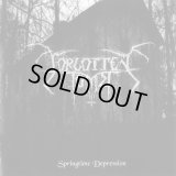 Forgotten Tomb - Springtime Depression / DigiCD
