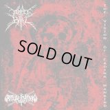 Temple of Baal / Ritualization - The Vision of Fading Mankind / DigiCD