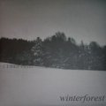 Goatmoon / Dead Reptile Shrine - Winterforest / CD