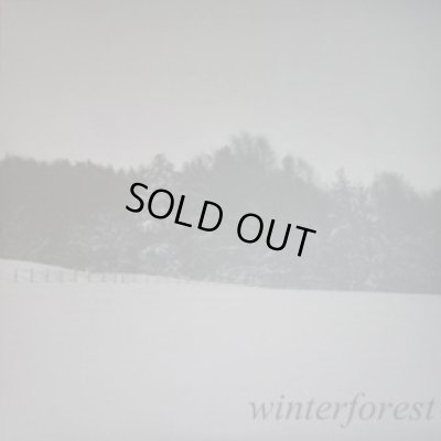 画像1: Goatmoon / Dead Reptile Shrine - Winterforest / CD