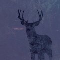 Cold Body Radiation - Deer Twillight / DigiCD