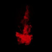 Weird Fate - The Collapse of All That Has Been / DigiCD