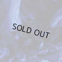 Deathlike Silence - Deathlike Silence / CD